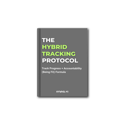 The Hybrid Tracking System